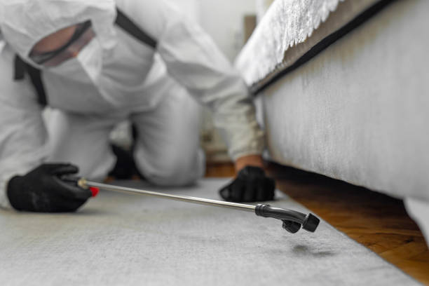 Professional Bed Bug Control technician working in Roseburg North, OR