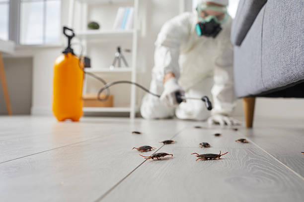 Trusted Fumigation Services service in Roseburg North, OR - Nex Pest Control